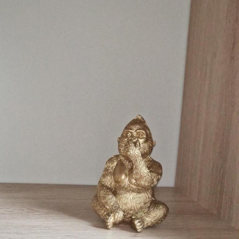 Les Combles de Colbert- hyper center - Appartement 1 Chambre - 22