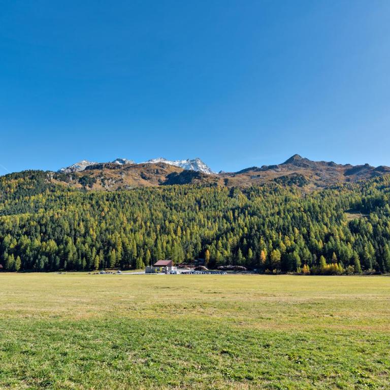 Chesa Allegria - Sils Maria - Apartment mit 2 Schlafzimmern - 28