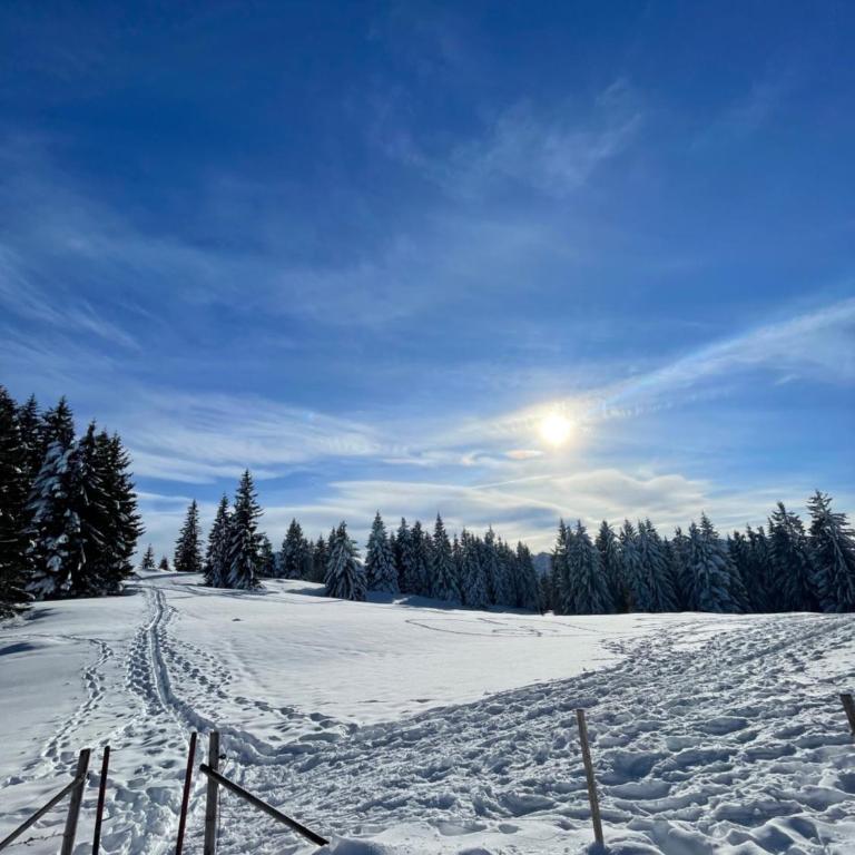 Ferienwohnung Bergzauber mit traumhafter Berglage, Pool, & Nähe zur Skipiste - Apartment mit 1 Schlafzimmer - 12