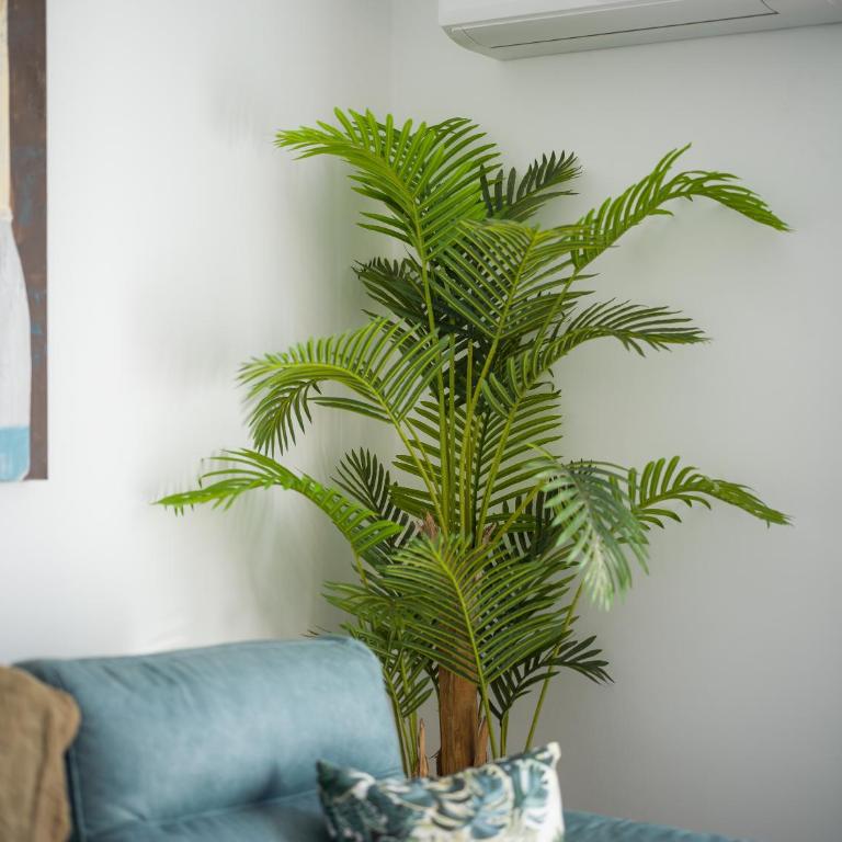 Apartamento Verano - One-Bedroom Apartment - 46
