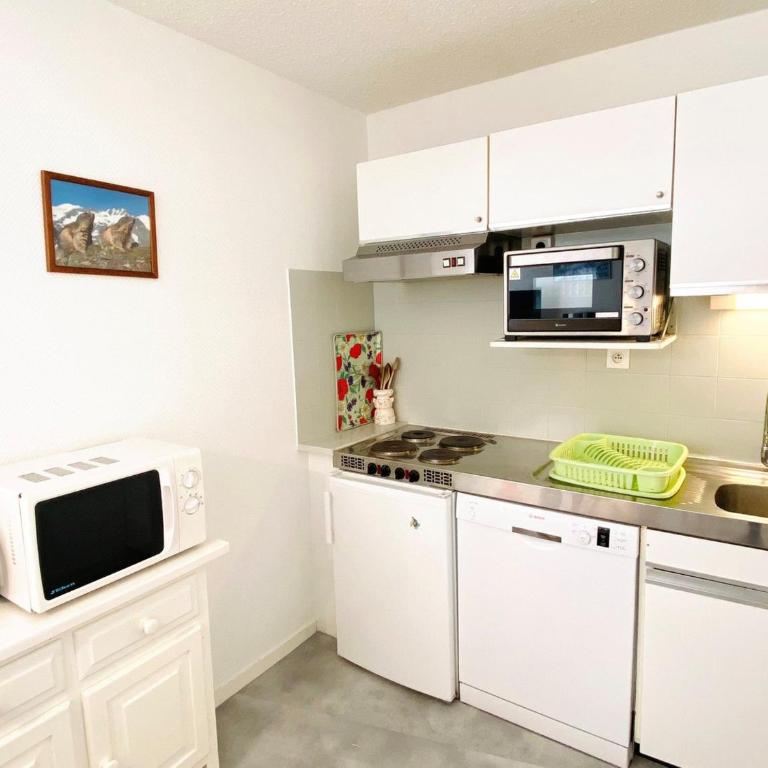 Appartement 2 pièces au pied des pistes, animaux admis, Les Deux Alpes - FR-1-516-10 - Appartement (6 Adultes) - 8