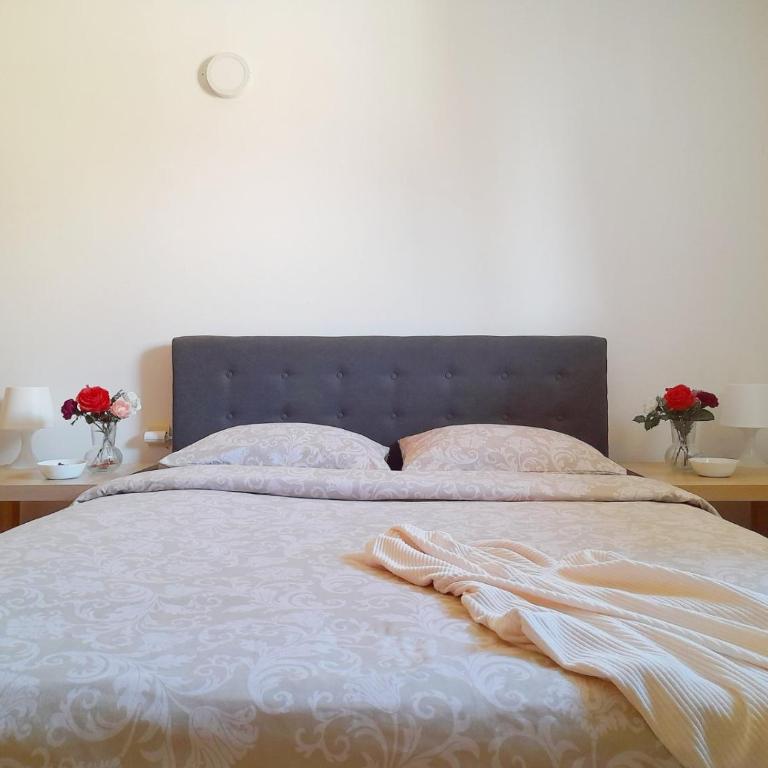 Apartman AS - Apartman sa 1 Spavaćom Sobom - 10