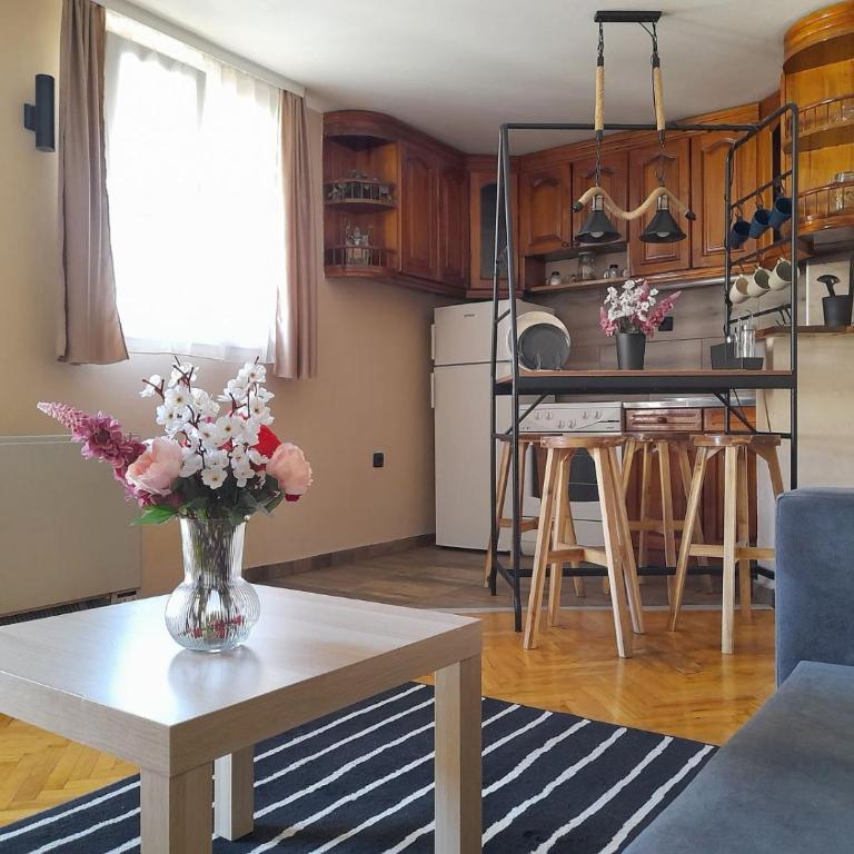 Apartman AS - Apartman sa 1 Spavaćom Sobom - 11