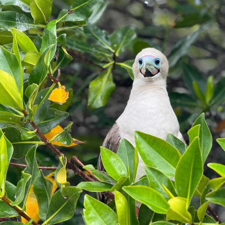 Villa Náutica - Villa de 2 dormitorios - 44