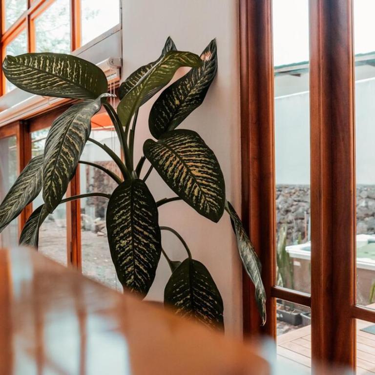 Villa Náutica - Villa de 2 dormitorios - 15