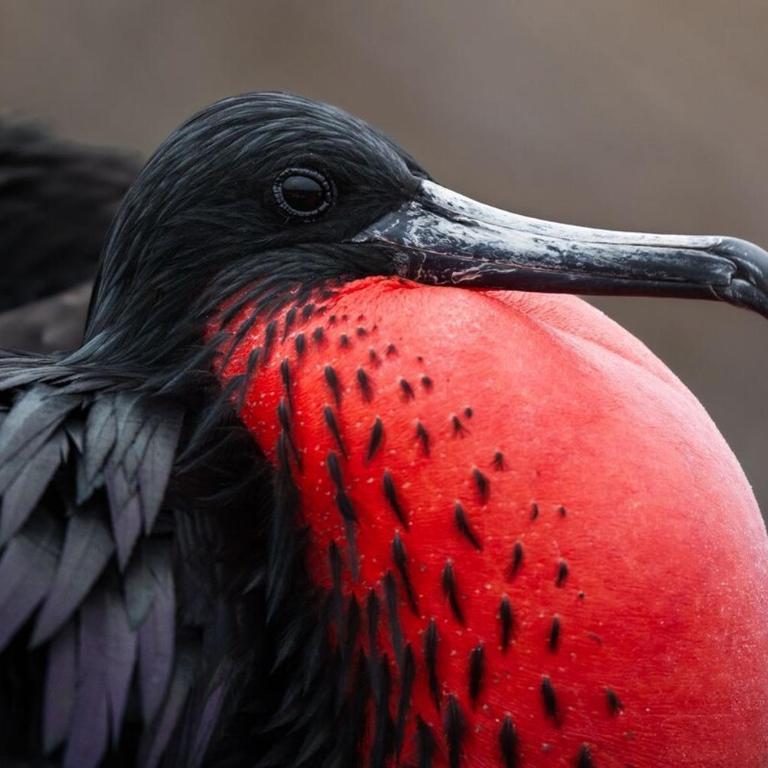 Villa Náutica - Villa de 2 dormitorios - 46