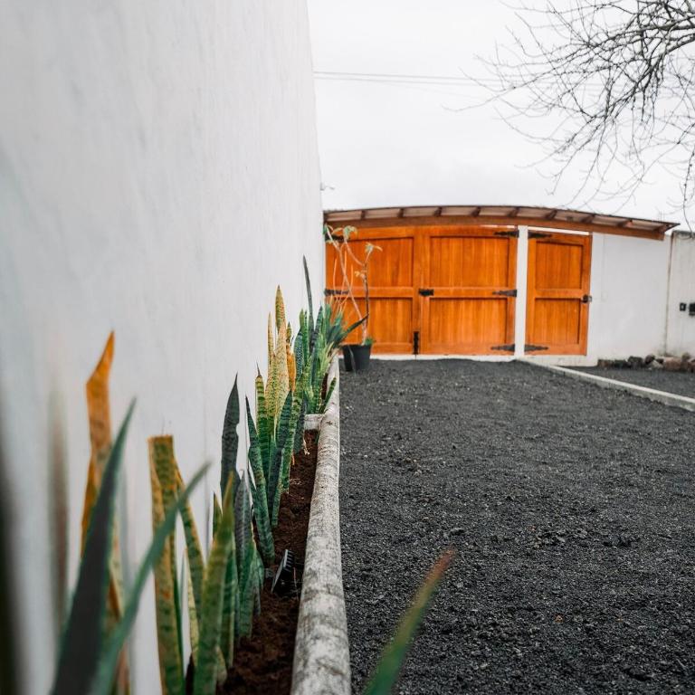 Villa Náutica - Villa de 2 dormitorios - 26