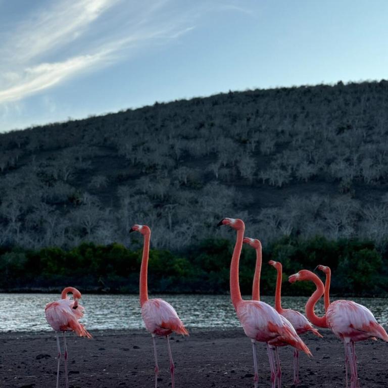 Villa Náutica - Villa de 2 dormitorios - 40