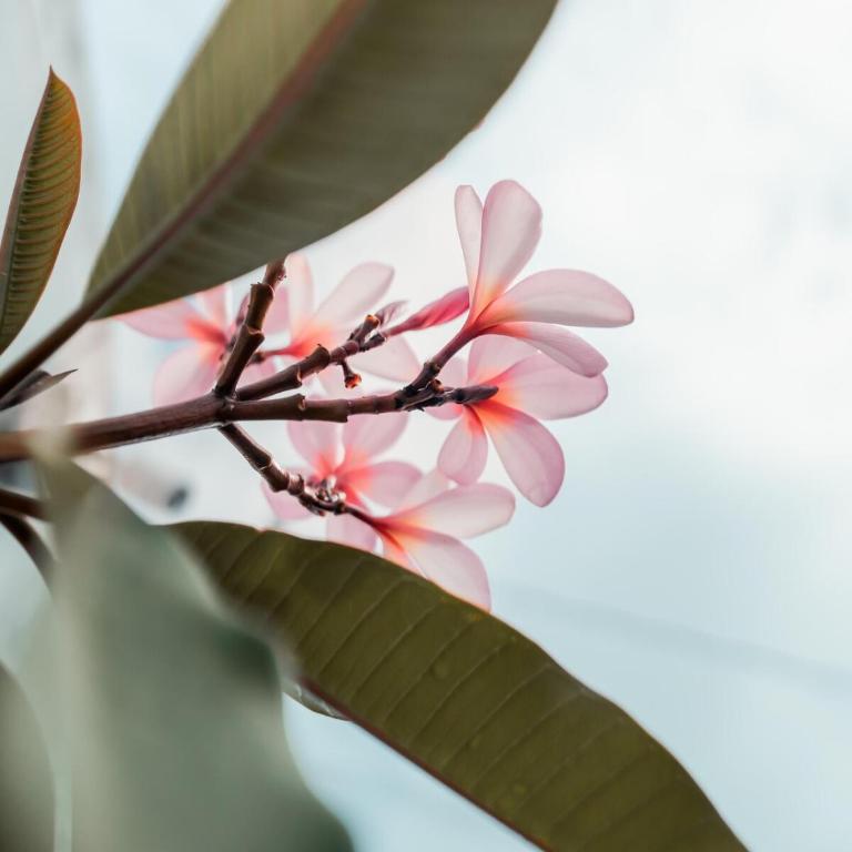 Villa Náutica - Villa de 2 dormitorios - 38