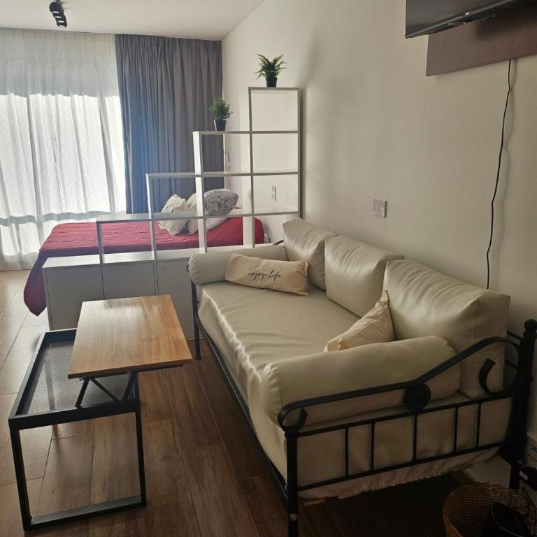 Amplio y hermoso departamento en Buenos Aires - Apartamento de 1 dormitorio - 38