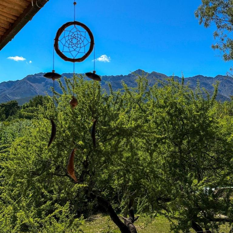 Puesto de Montaña - Casa - 17