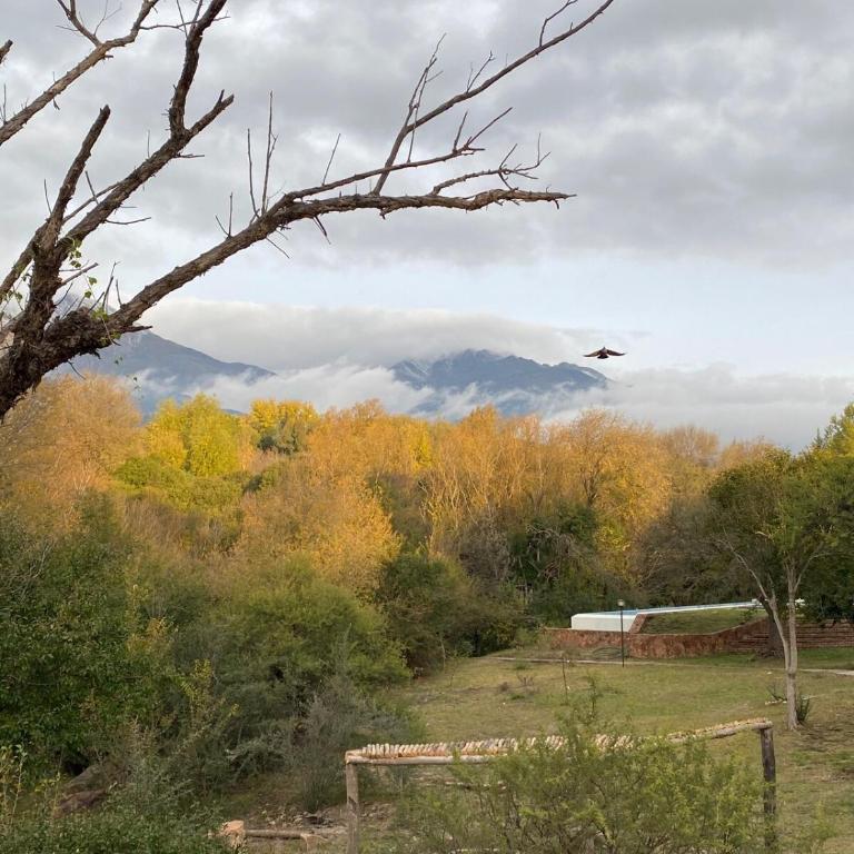 Puesto de Montaña - Casa - 35