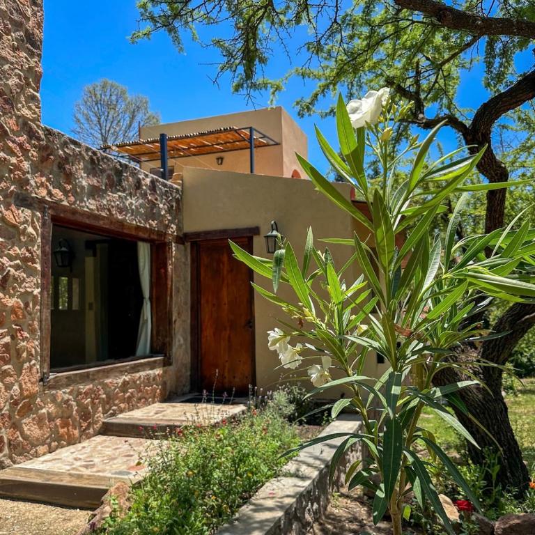 Puesto de Montaña - Casa - 11