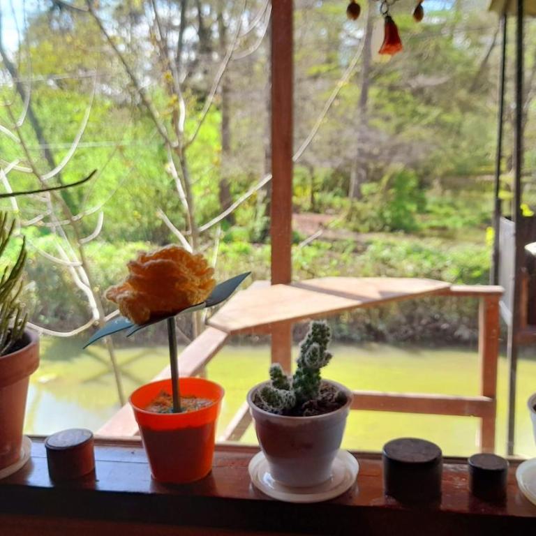 Cabaña TIEMPO - Apartamento de 1 dormitorio - 23