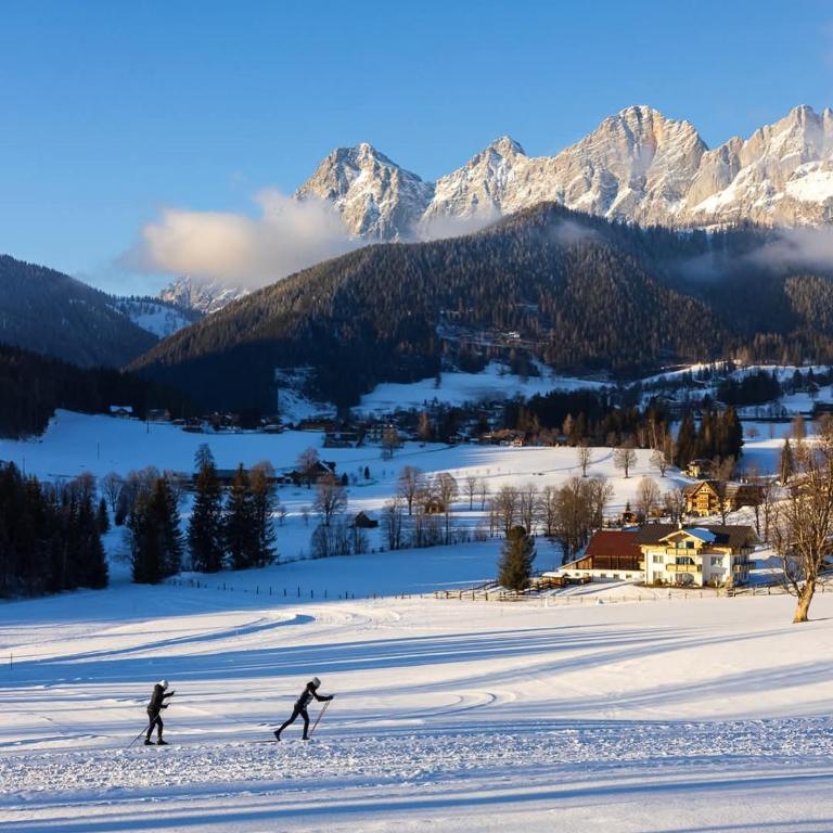 Tritscher's Appartement Ramsau Dachstein - Appartamento con 2 Camere da Letto - 31