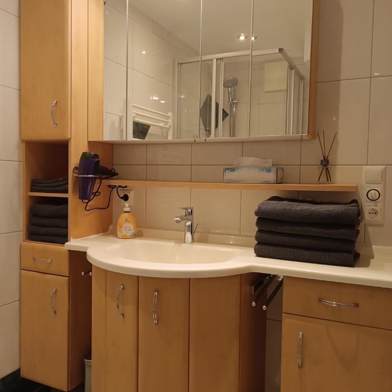 Tritscher's Appartement Ramsau Dachstein - Appartamento con 2 Camere da Letto - 12