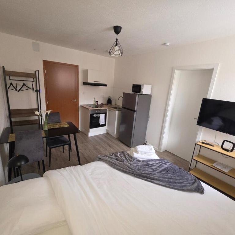 Studio "Cactus" moderne, confortable et au centre ville - Appartamento con 1 Camera da Letto - 1