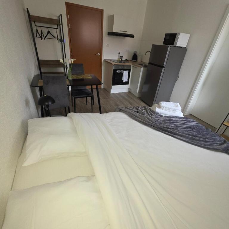 Studio "Cactus" moderne, confortable et au centre ville - Appartamento con 1 Camera da Letto - 3