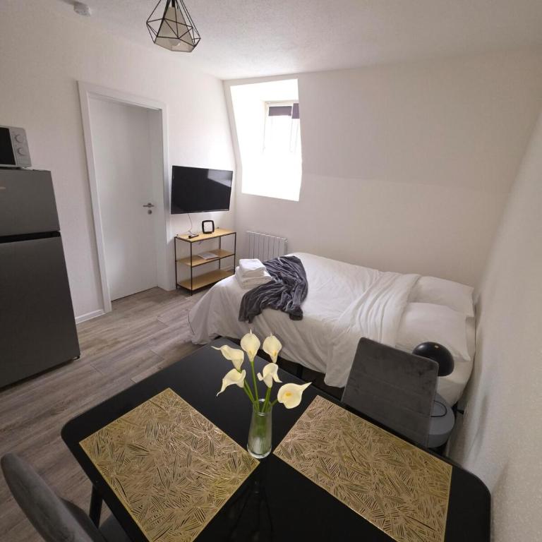 Studio "Cactus" moderne, confortable et au centre ville - Appartamento con 1 Camera da Letto - 5