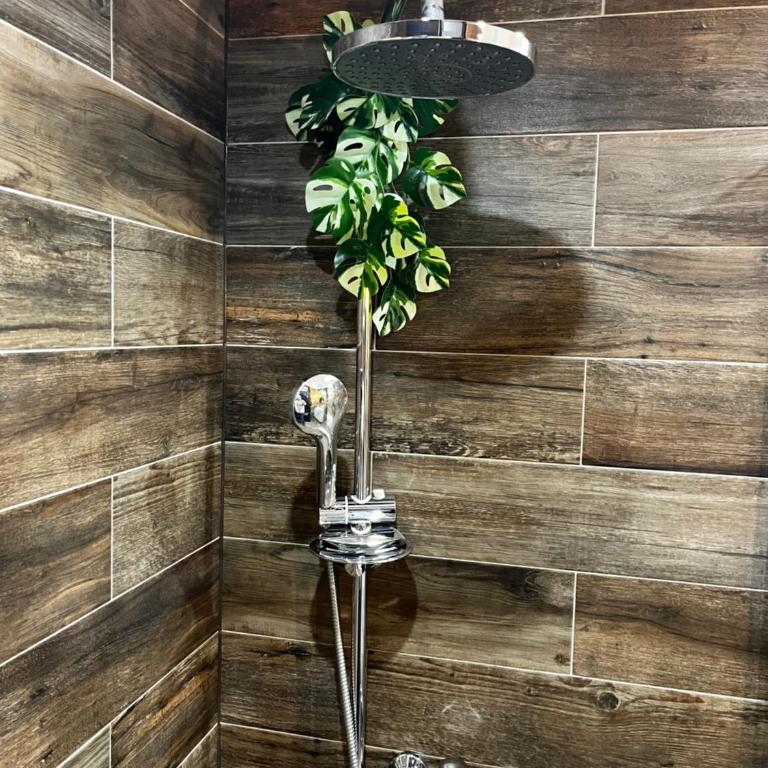 Apartman Darvin / Lux - Apartman sa 1 Spavaćom Sobom - 18