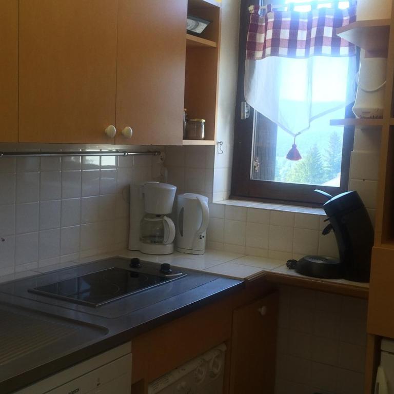 Studio cabine 33m² pieds des pistes, Animaux admis, Balcon sud - Studio - 7
