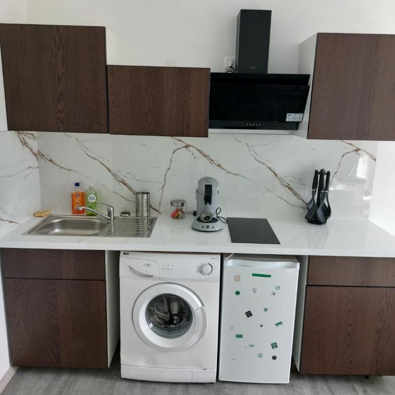 Studio cosy -ALLEZ LES VERTS- - Apartment mit 1 Schlafzimmer - 15