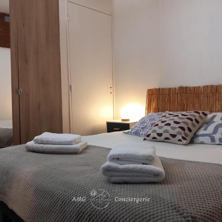 Splendide Vue sur le Lac ! 5mn des plages, parking privé - Appartement 2 Chambres - 16