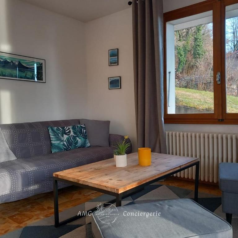 Splendide Vue sur le Lac ! 5mn des plages, parking privé - Appartement 2 Chambres - 17