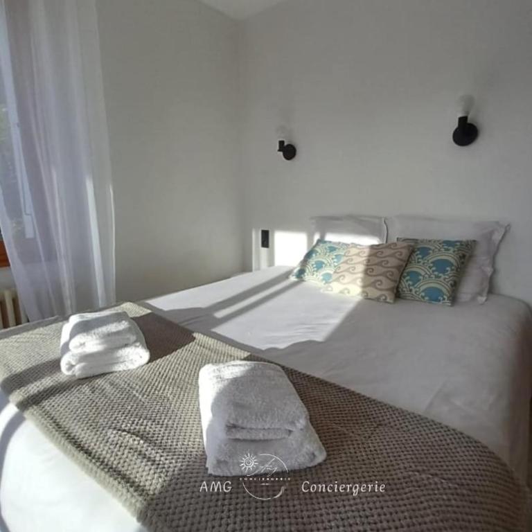 Splendide Vue sur le Lac ! 5mn des plages, parking privé - Appartement 2 Chambres - 8