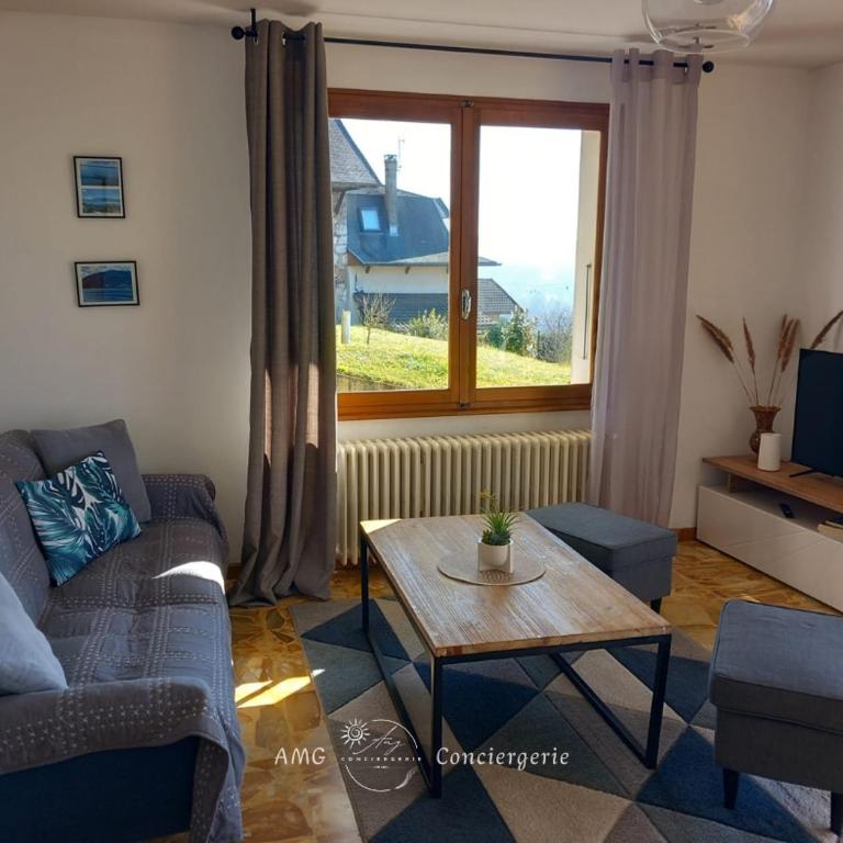 Splendide Vue sur le Lac ! 5mn des plages, parking privé - Appartement 2 Chambres - 10