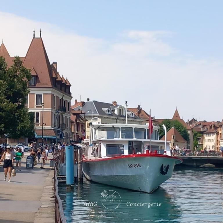 Splendide Vue sur le Lac ! 5mn des plages, parking privé - Appartement 2 Chambres - 28