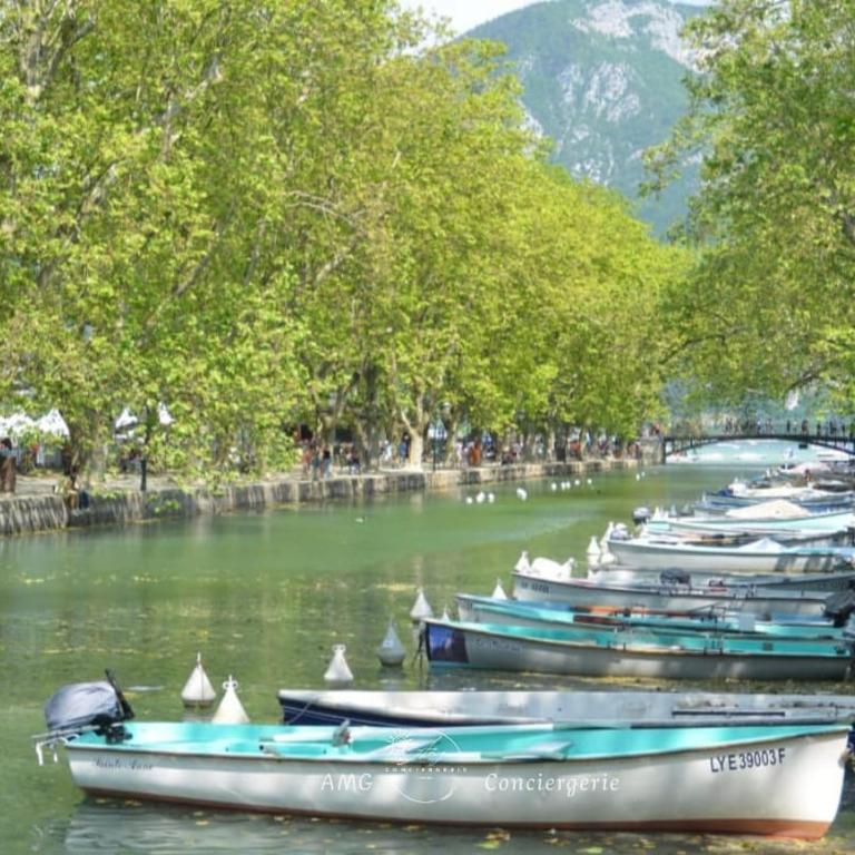 Splendide Vue sur le Lac ! 5mn des plages, parking privé - Appartement 2 Chambres - 27