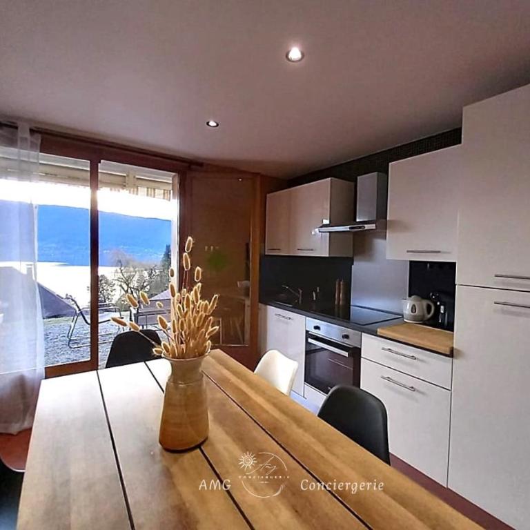 Splendide Vue sur le Lac ! 5mn des plages, parking privé - Appartement 2 Chambres - 11