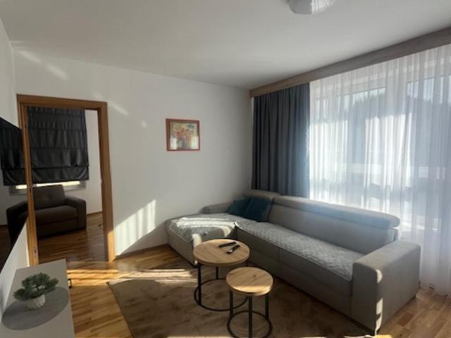 Apartman M&M&M - u sklopu Aparthotel Vučko Jahorina - privatni apartman - Apartman sa 1 Spavaćom Sobom - 2
