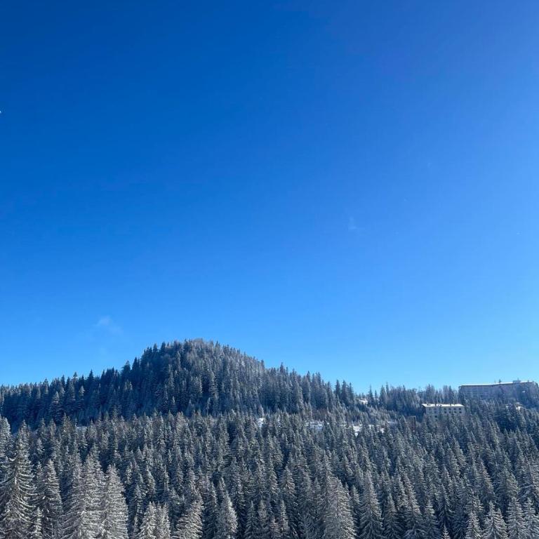 Apartman M&M&M - u sklopu Aparthotel Vučko Jahorina - privatni apartman - Apartman sa 1 Spavaćom Sobom - 15