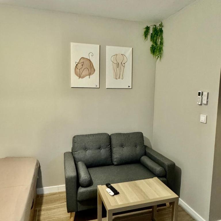 Charming apartment - Three-Bedroom Superior Apartment - 17