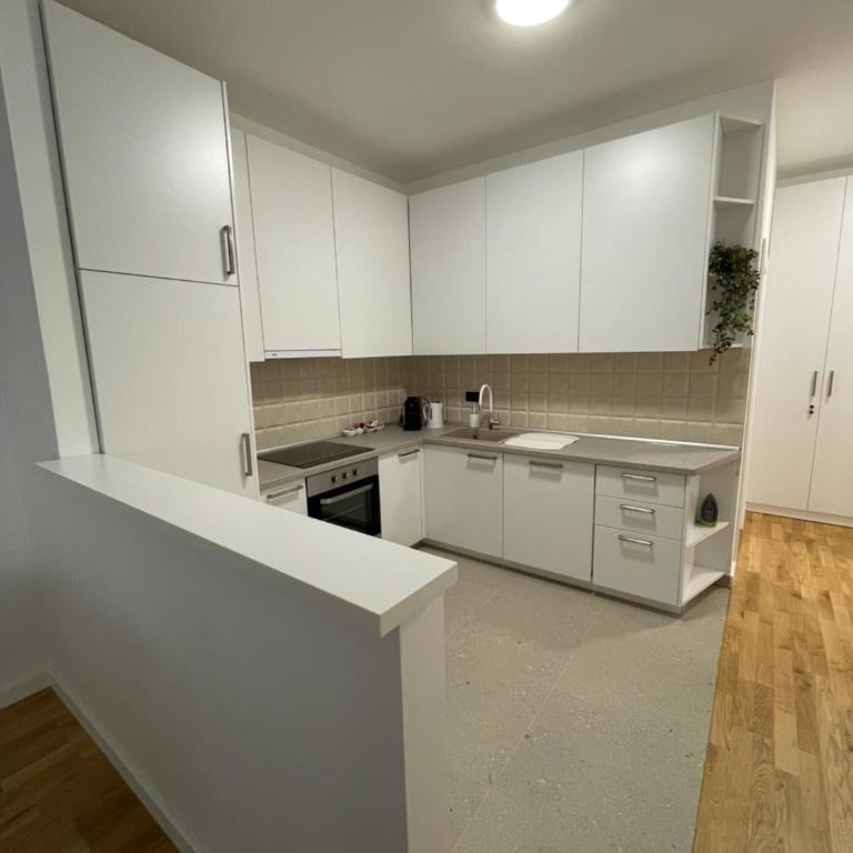 Joy apartment 7 Vracar 3 bedrooms 2 bathrooms - Deluks Apartman sa 3 Spavaće Sobe - 14