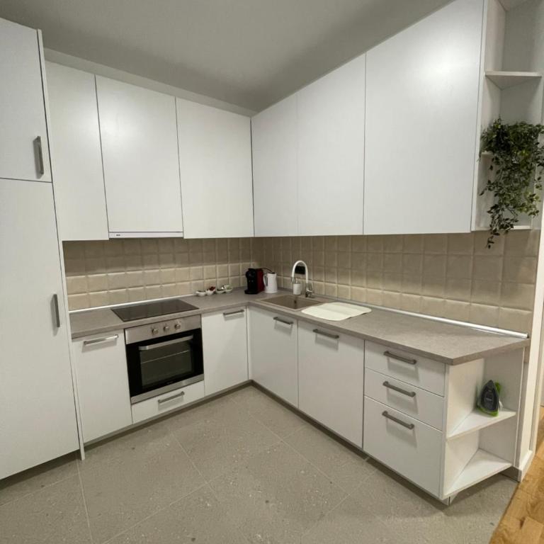 Joy apartment 7 Vracar 3 bedrooms 2 bathrooms - Deluks Apartman sa 3 Spavaće Sobe - 23