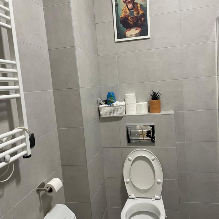 Joy apartment 7 Vracar 3 bedrooms 2 bathrooms - Deluks Apartman sa 3 Spavaće Sobe - 28