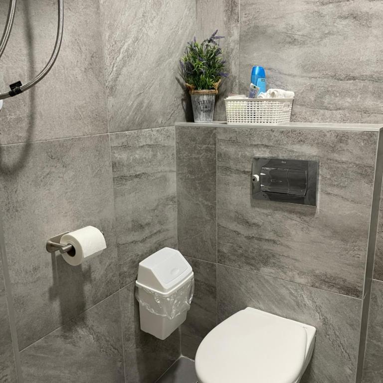 Joy apartment 7 Vracar 3 bedrooms 2 bathrooms - Deluks Apartman sa 3 Spavaće Sobe - 27