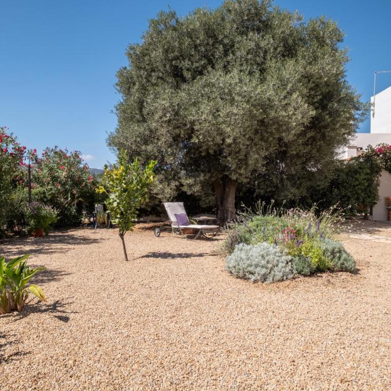 Villa Olga con accesso privato alla spiaggia di Nora - Villa - 9