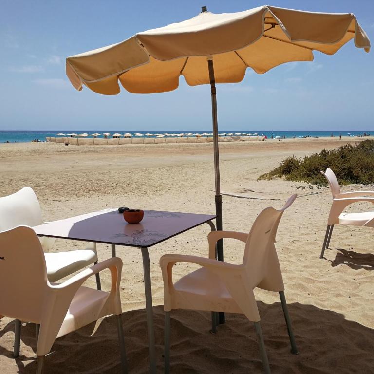 Los Hibiscos 314 - Casa Atlántico - Apartamento de 2 dormitorios - 21