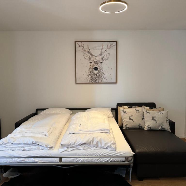 Beautiful Sunny New 1 Bed Apt (2.5Zim). Ski in/out - Apartment mit 1 Schlafzimmer - 9