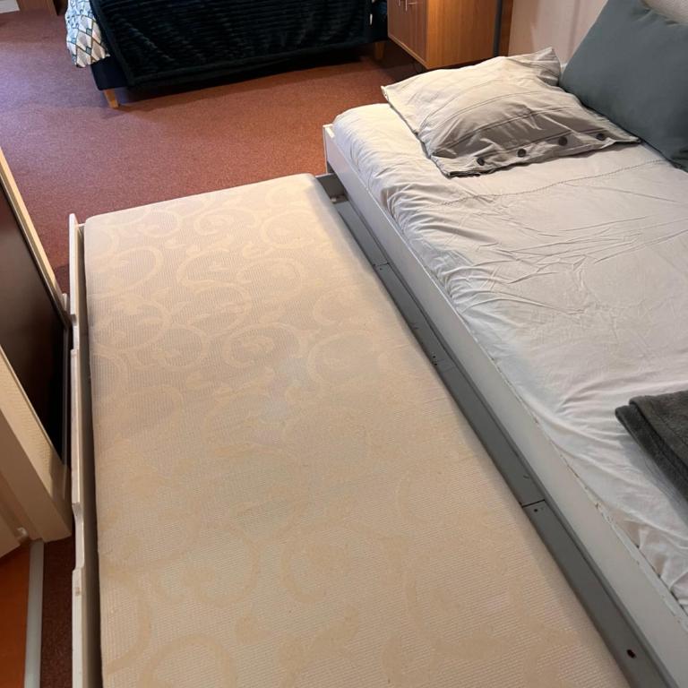 Studio aux pieds des pistes, des chemins de Rando - Apartment mit 1 Schlafzimmer - 15