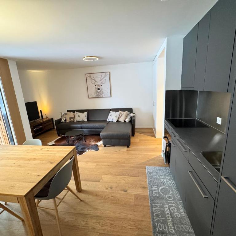 Beautiful Sunny New 1 Bed Apt (2.5Zim). Ski in/out - Apartment mit 1 Schlafzimmer - 7
