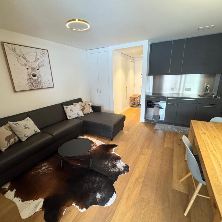 Beautiful Sunny New 1 Bed Apt (2.5Zim). Ski in/out - Apartment mit 1 Schlafzimmer - 6