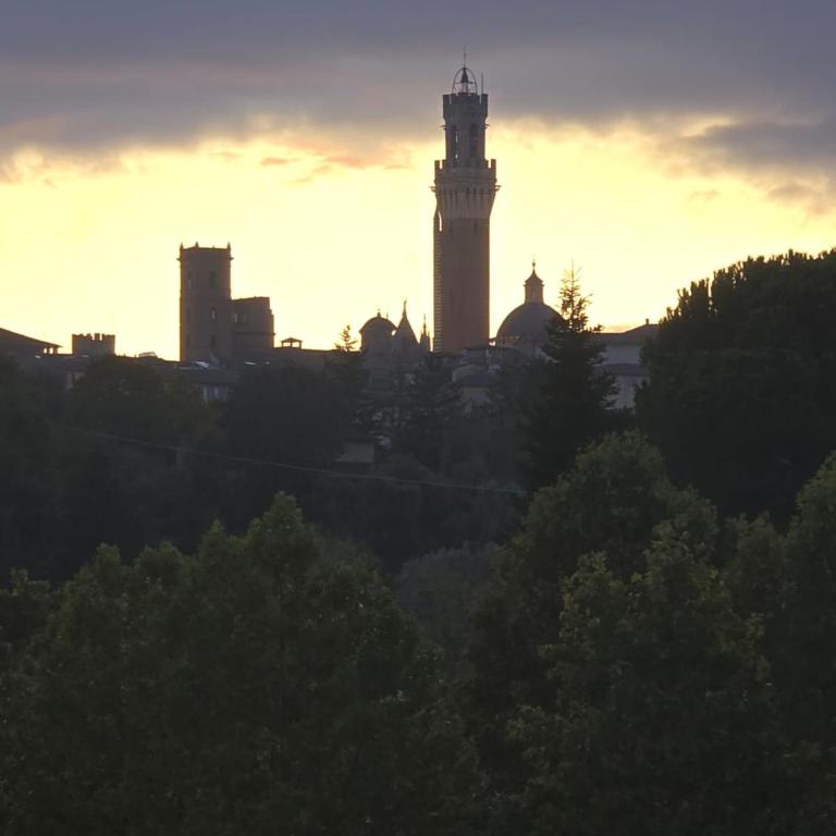Podere Ponticini - Appartamento con 3 Camere da Letto - 1