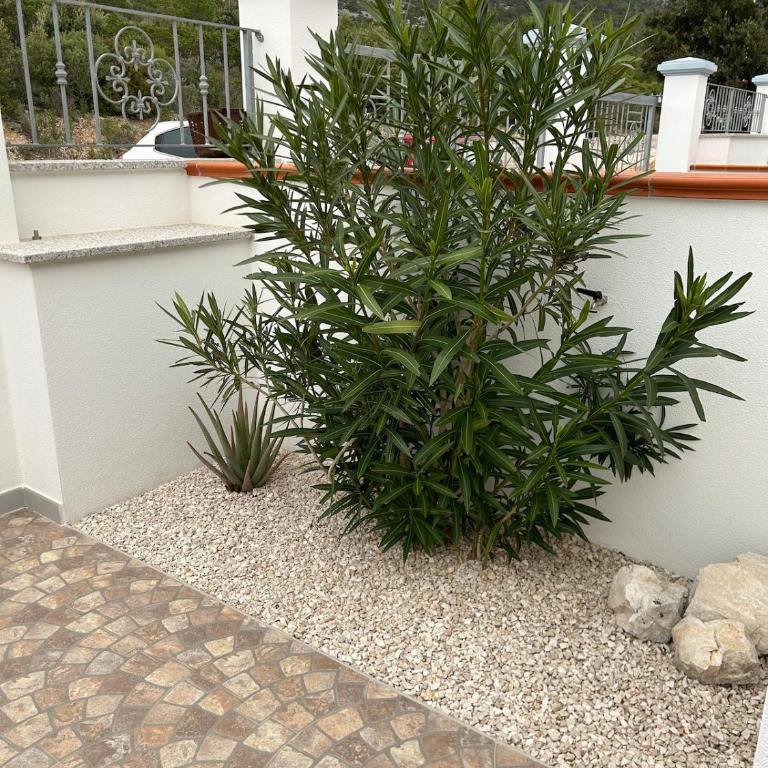 Casa Su Romasinarzu - IUN S3816 - Appartamento con 1 Camera da Letto - 52