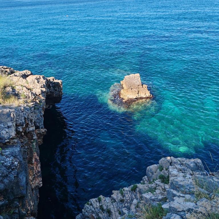 Villa Contact - One-Bedroom Apartment with Sea View and Terrace - 4