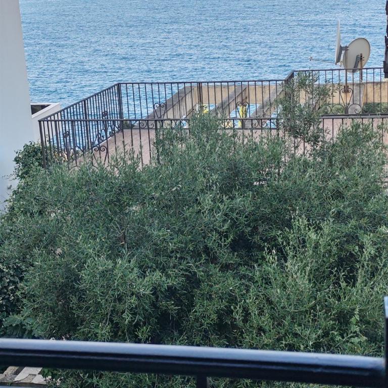 Villa Contact - One-Bedroom Apartment with Sea View and Terrace - 5